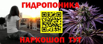 мяу мяу мука Малгобек