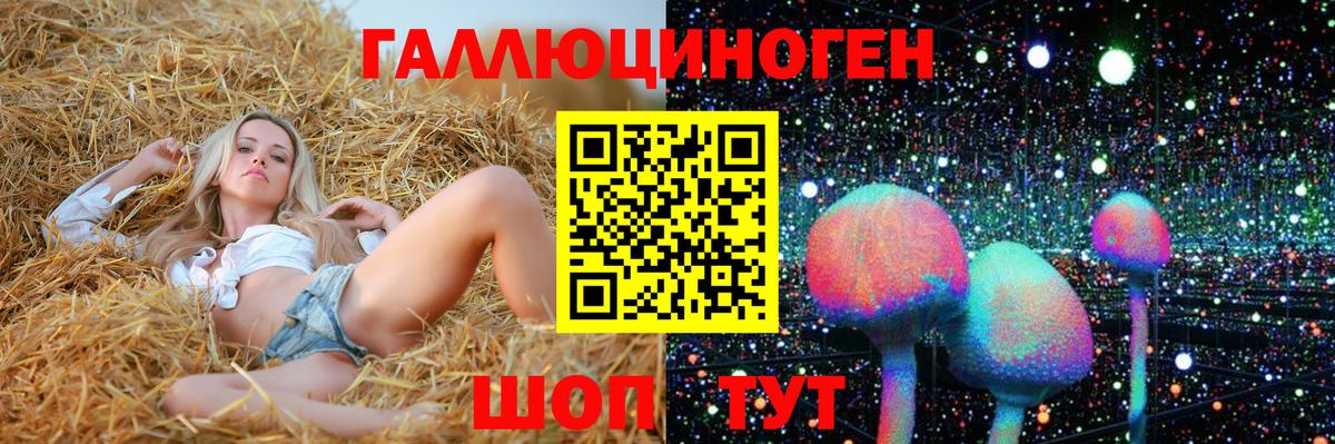 Галлюциногенные грибы GOLDEN TEACHER  Вход с VPN  где найти наркотики  Шатура 